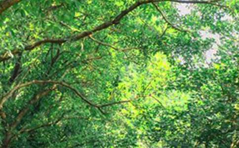 �й�ů���簲��¼����180��