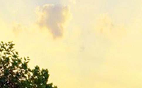 2026���й��簲���������ϼ�68��