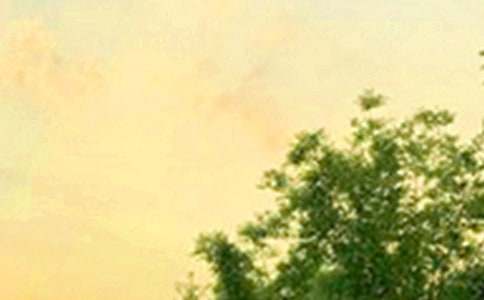 2025����������ů���簲������¼36��