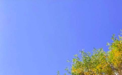 �����ܰ�簲��¼��ȫ����ѡ130�䣩