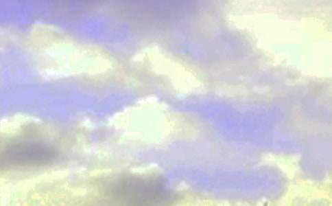 �簲���������ժ¼100��