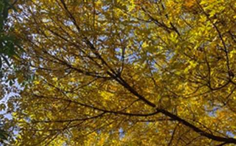 �����������簲������ܣ�ͨ��85�䣩