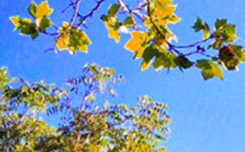 2026�꾫ѡ���˵��簲������¼����40��