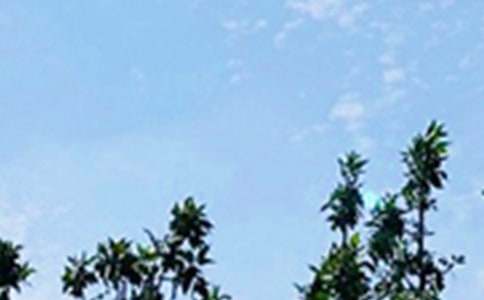 2025������°��簲������¼���46��