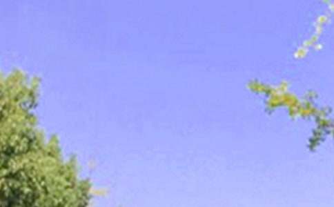 2025�꾫ѡ�簲��������伯��79��