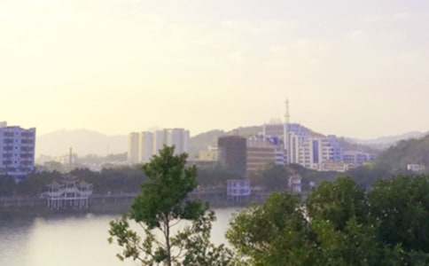 �����š��簲������¼29��