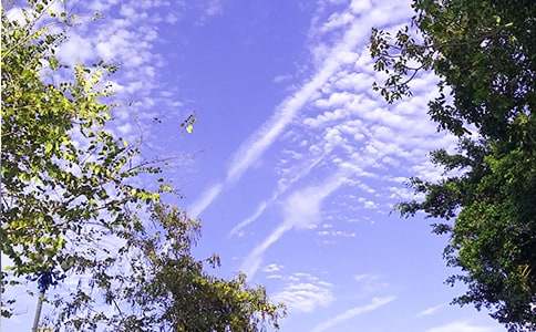 �й��������簲����Ȧ185��