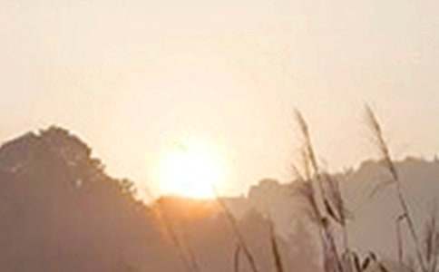 2025年通用早安正能量语录合集34句