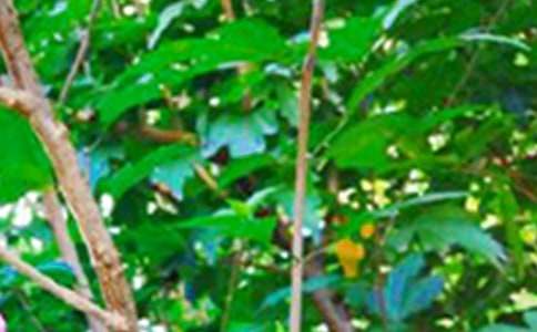 经典早安正能量语句集锦79条