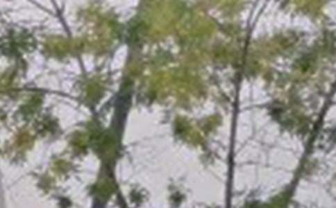 2026������簲���������ժ¼80��