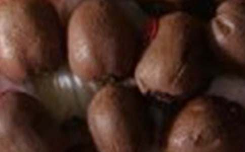 �и���⨺�����ʲô�ô�