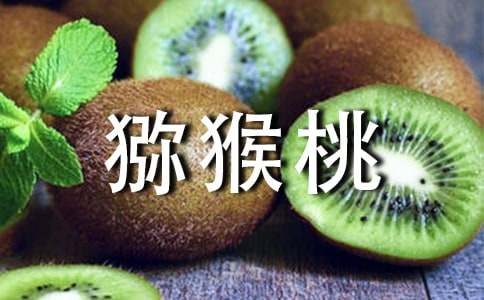 孕妇可以多吃猕猴桃吗