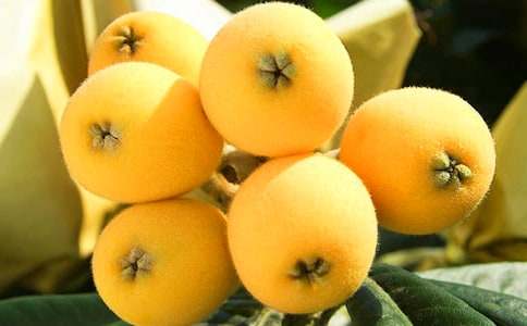 孕妇喝枇杷叶煮水吗