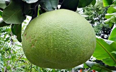 �и����������Ӳ����