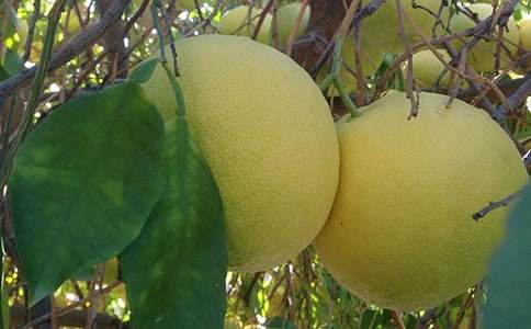 �и����������ĸ��ô�ֵ�ó�