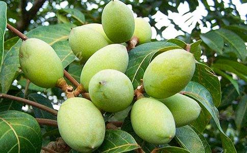 �и��������������ô����