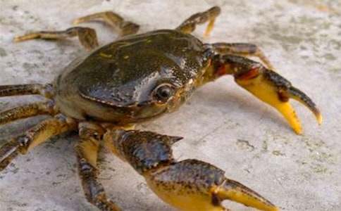 �и�������Գ��з��