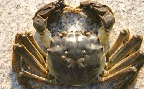 �����μ��з