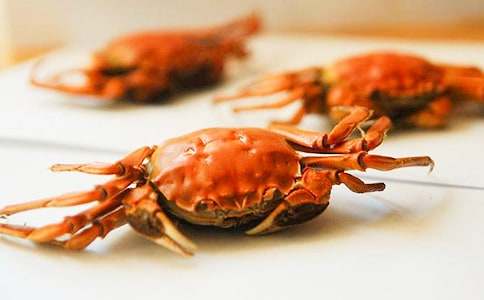 孕妇能吃螃蟹吗