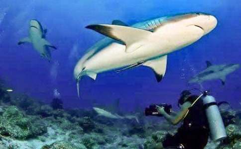 �μ�ɱ������