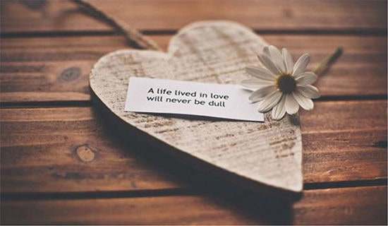 ��ѡ���龭�仰�Ｏ��37��