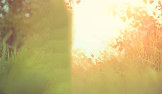 ���Ƽ���2026��Ψ������¼����45��