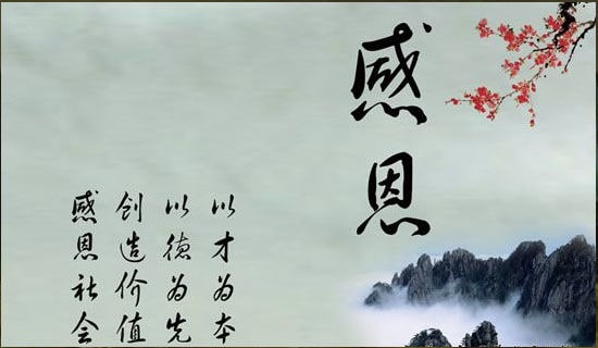通用感恩的语录44条